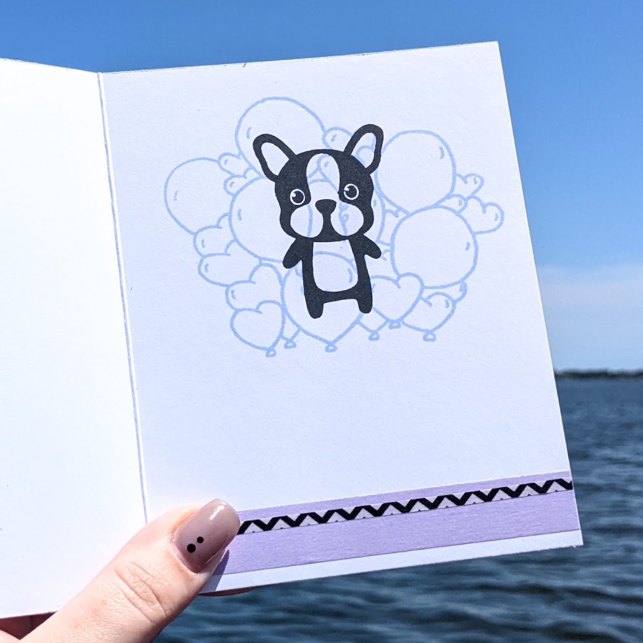 Boston Terrier/Frenchie - RETIRED