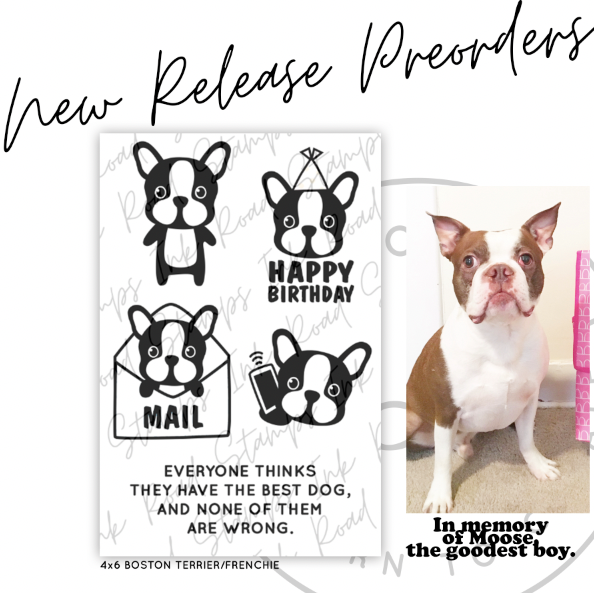 Boston Terrier/Frenchie - RETIRED